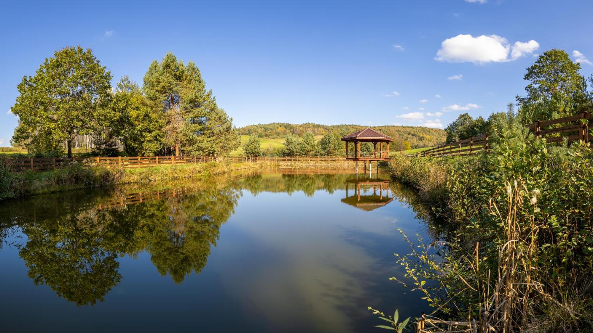 Glamping Pod Gwiazdami * Pietrusza Wola