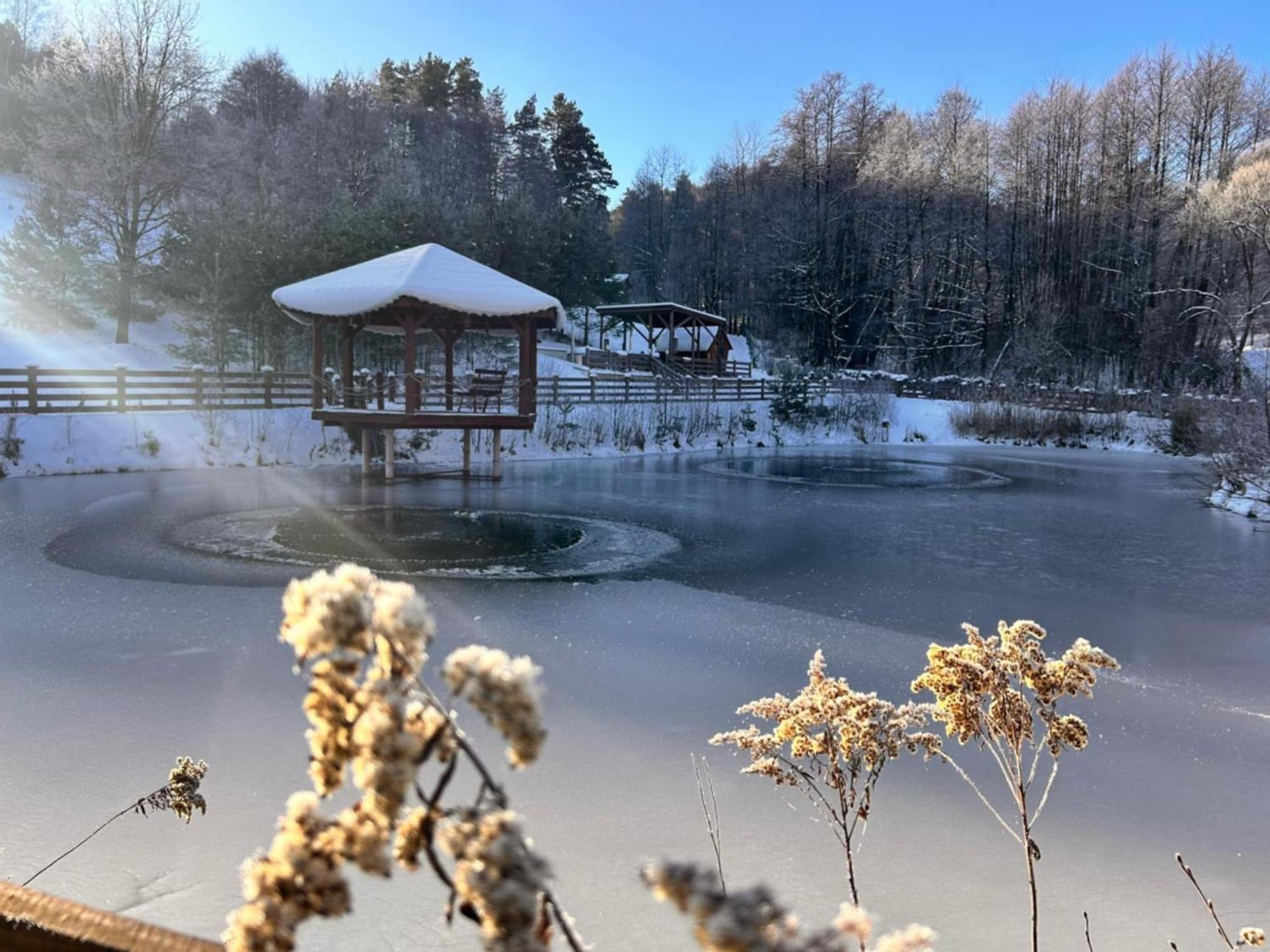 Villa Glamping Pod Gwiazdami Pietrusza Wola